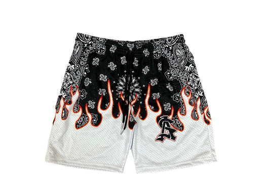 Black “Color Money” Shorts